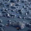 Better Probiotics for Grease Traps and Waste Water