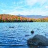 Bacillus Probiotics For Lakes and Ponds