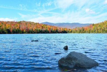 Bacillus Probiotics For Lakes and Ponds