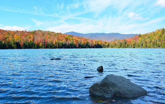 Bacillus Probiotics For Lakes and Ponds