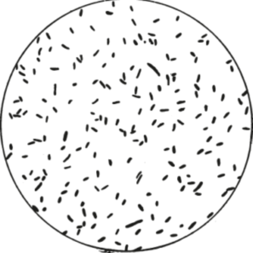 Invivo Biosciences